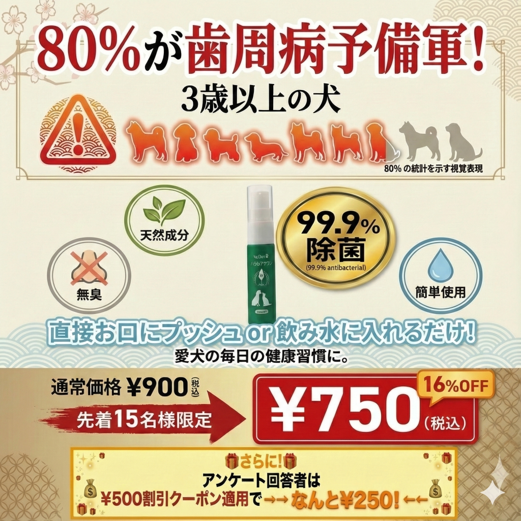アンケート結果